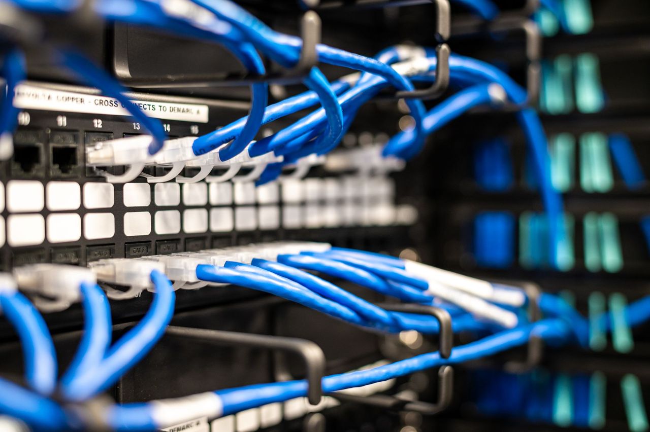 Blue network cables patched into a switch